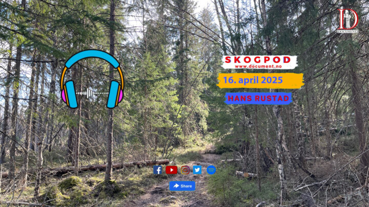 Skogpod 16. april 2025