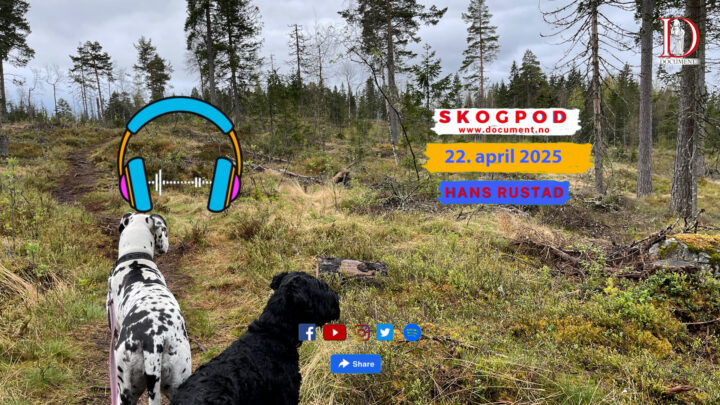 Skogpod 22. april 2025