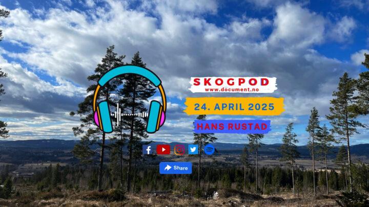 Skogpod 24. april 2025
