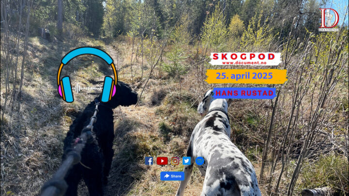 Skogpod 25. april 2025