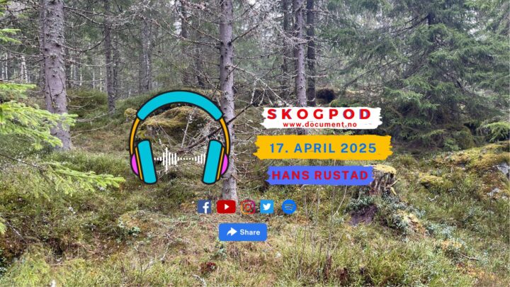 Skogpod 17. april 2025