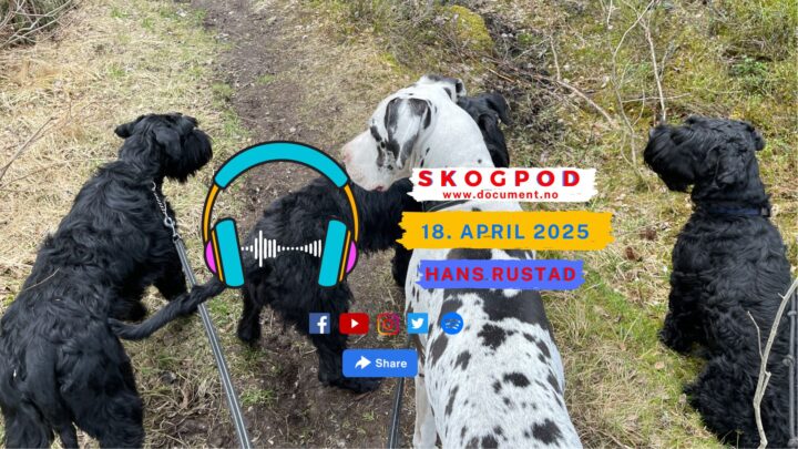 Skogpod 18. april 2025