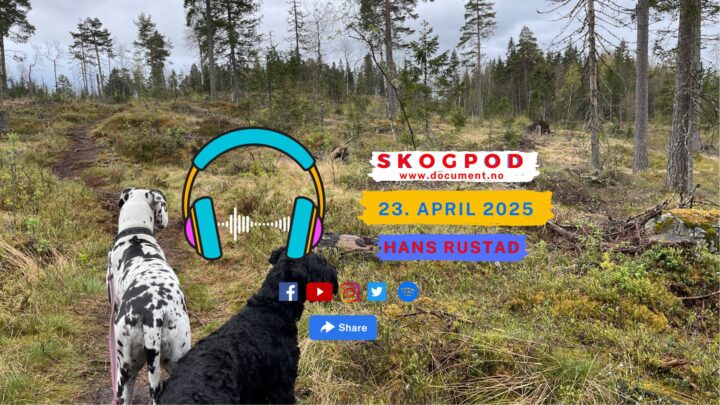 Skogpod 23. april 2025