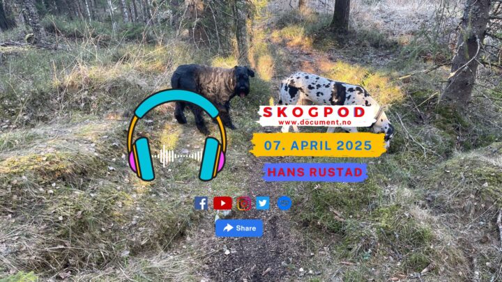 Skogpod 7. april 2025