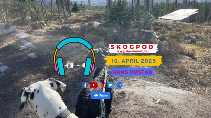 Skogpod 10. april 2025