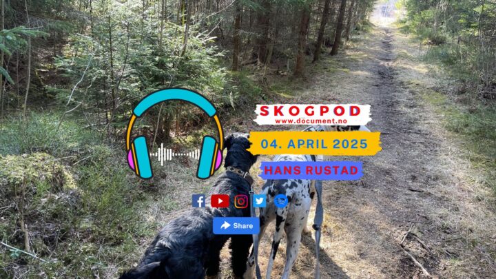 Skogpod 4. april 2025
