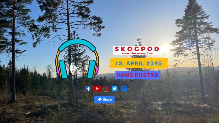 Skogpod 13. april 2025
