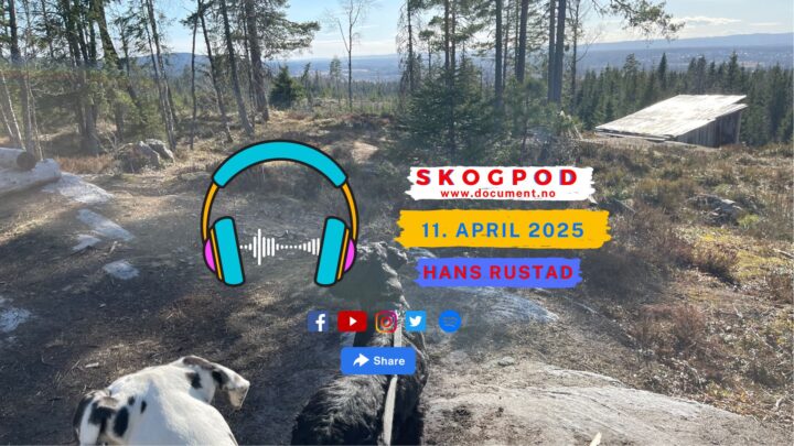 Skogpod 11. april 2025