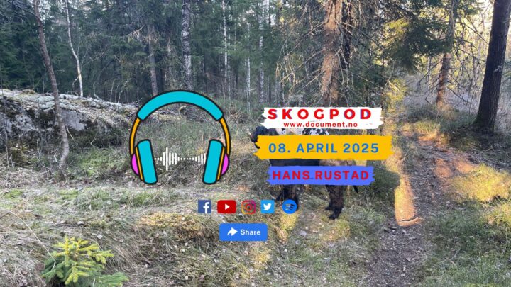 Skogpod 8. april 2025