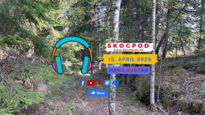 Skogpod 15. april 2025