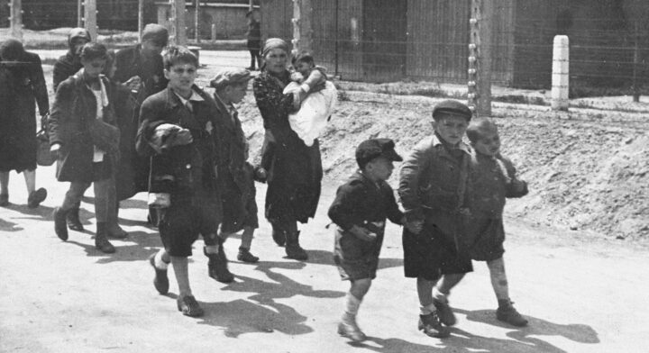 Noen av de frasorterte (juni 1944).
