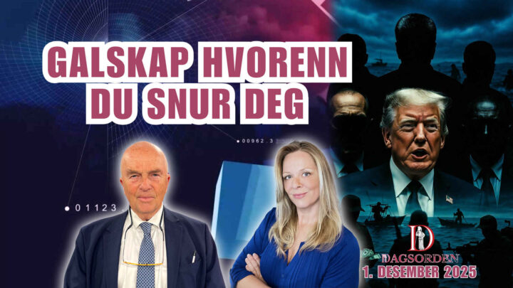 Doc-TV: Galskap hvor enn du snur deg