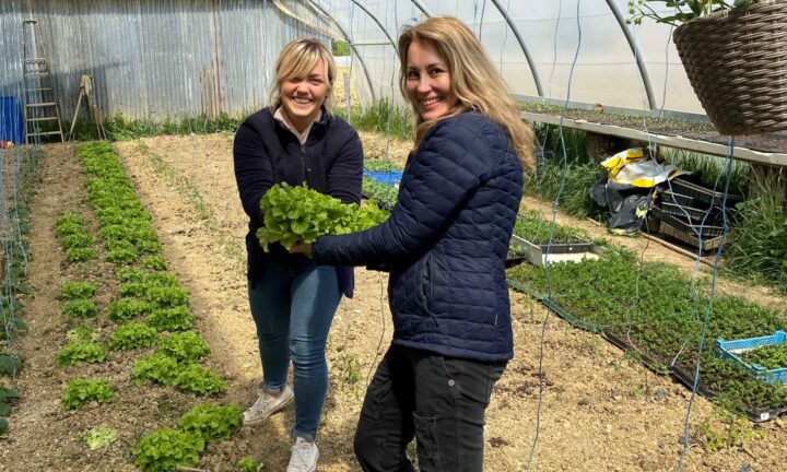 En bonde får bare kr 1,50 for et egg til 5 kroner – nå tar Bjørn Tore og Nora kampen mot matindustrien