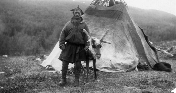 Svensk same med reinsdyr utenfor en lavvo (1909?).