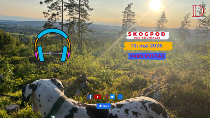 Skogpod 10. mai 2026