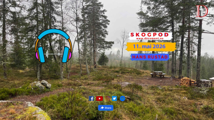 Skogpod 11. mai 2026