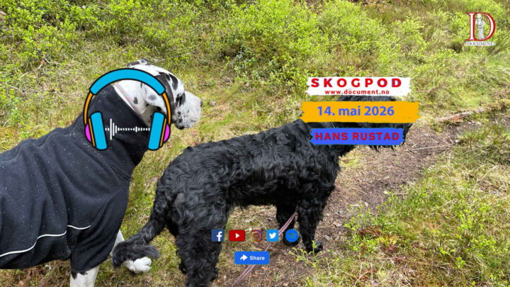 Skogpod 14. mai 2026