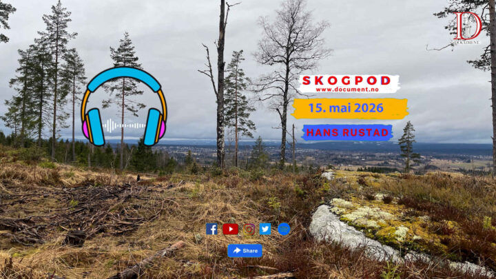 Skogpod 15. mai 2026