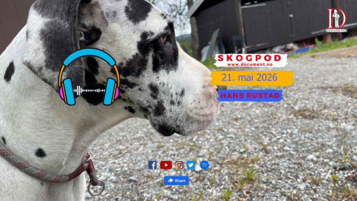 Skogpod 21. mai 2026