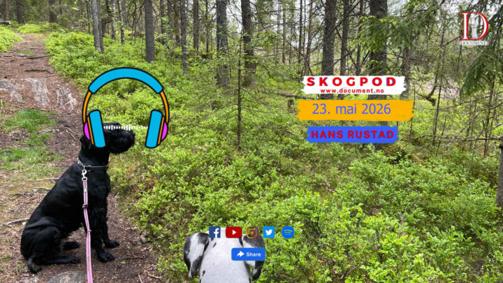 Skogpod 23. mai 2026