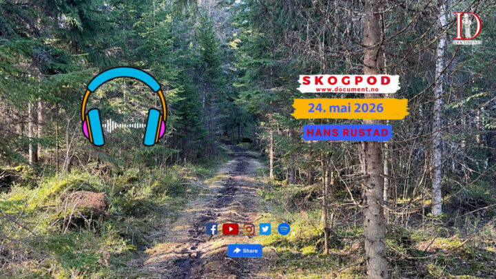 Skogpod 24. mai 2026