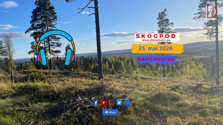 Skogpod 25. mai 2026