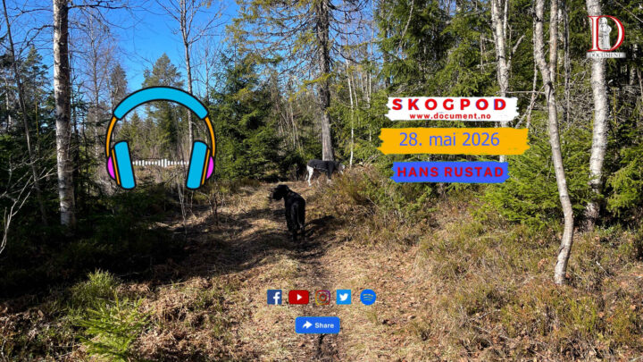 Skogpod 28. mai 2026