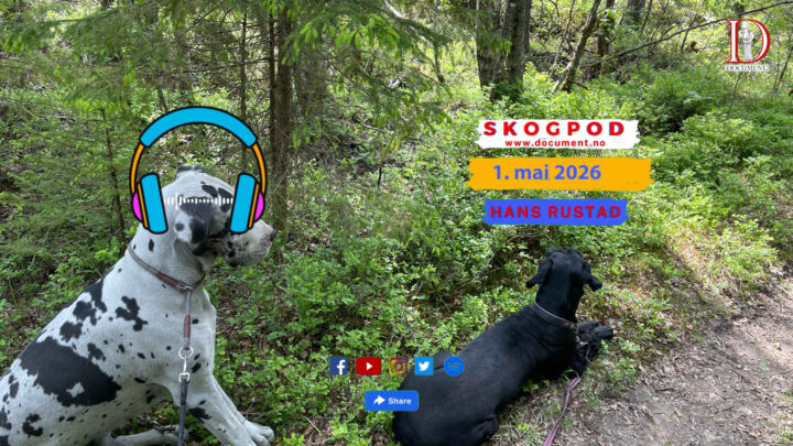 Skogpod 29. mai 2026