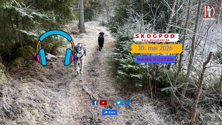 Skogpod 30. mai 2026