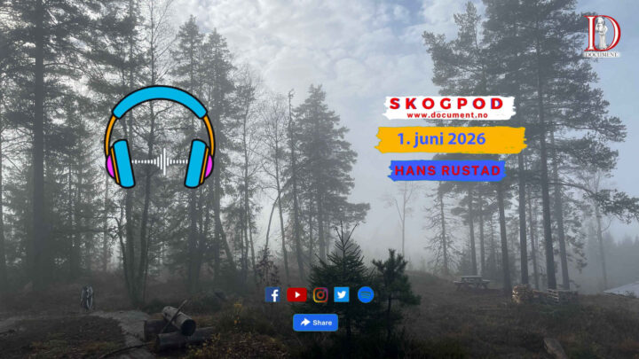 Skogpod 1. juni 2026