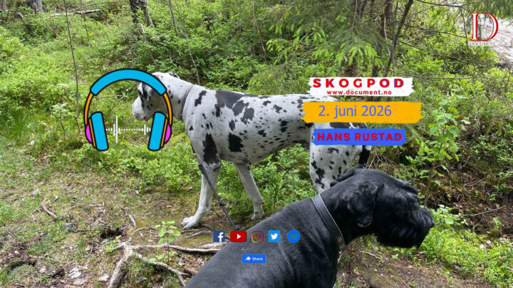 Skogpod 2. juni 2026