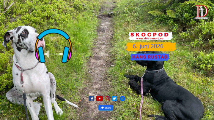 Skogpod 6. juni 2026