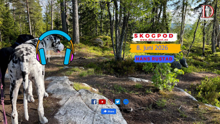 Skogpod 8. juni 2026