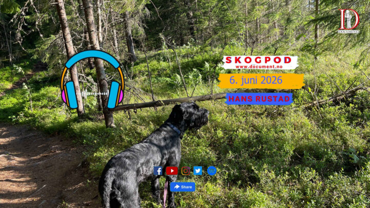 Skogpod 9. juni 2026