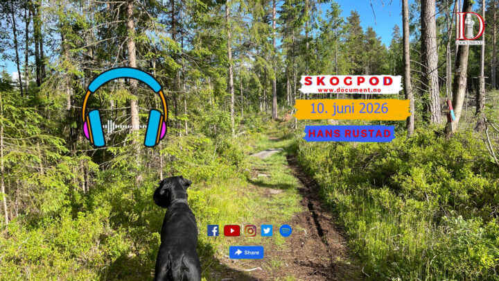 Skogpod 10. juni 2026