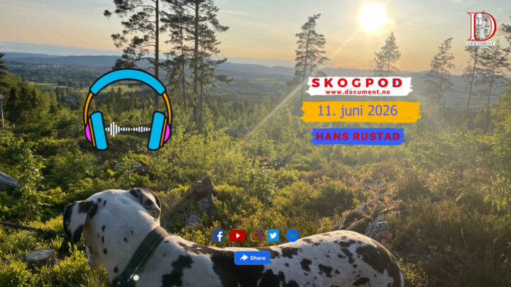 Skogpod 11. juni 2026
