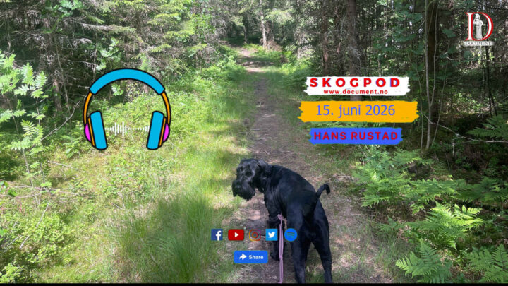 Skogpod 15. juni 2026
