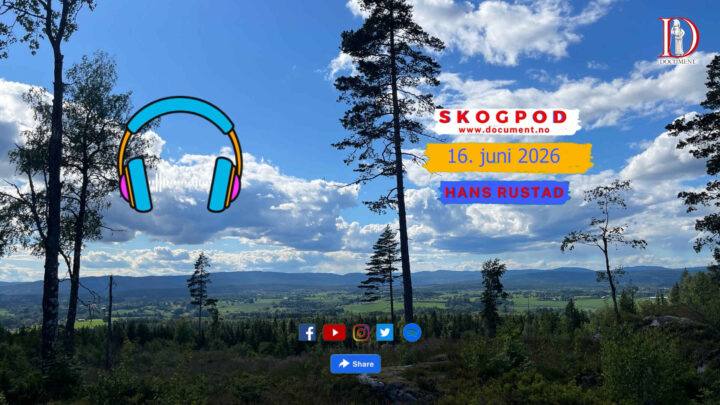Skogpod 16. juni 2026