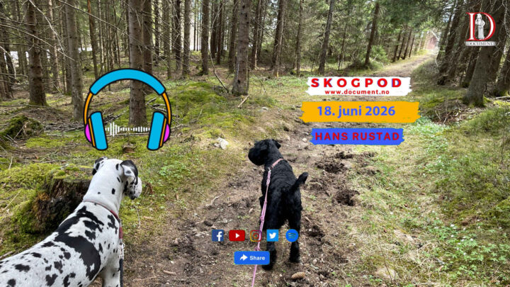 Skogpod 18. juni 2026
