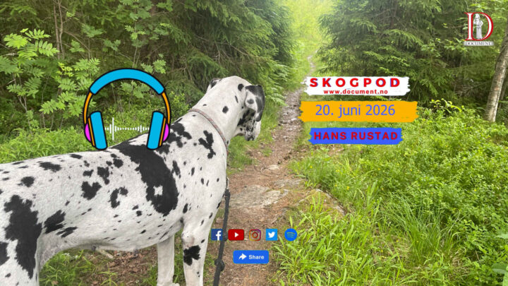 Skogpod 20. juni 2026