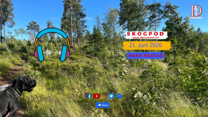 Skogpod 21. juni 2026