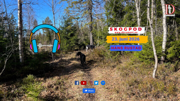 Skogpod 23. juni 2026