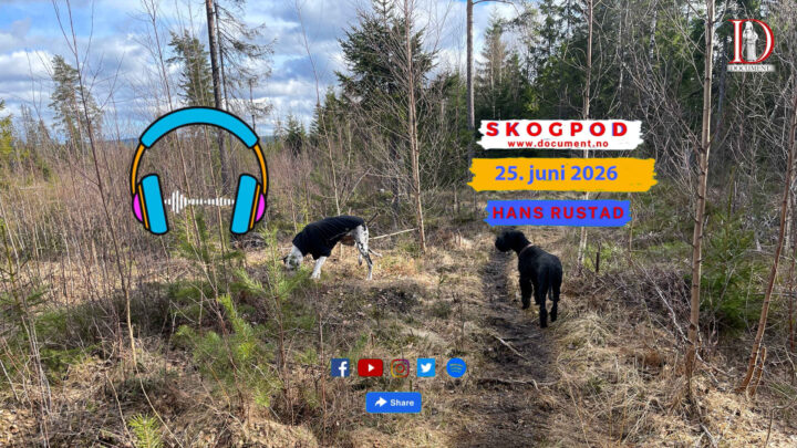 Skogpod 25. juni 2026