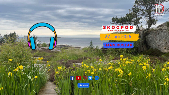 Skogpod 27. juni 2026