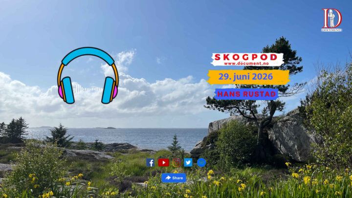 Skogpod 29. juni 2026