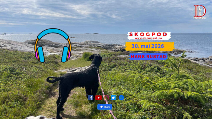 Skogpod 30. juni 2026