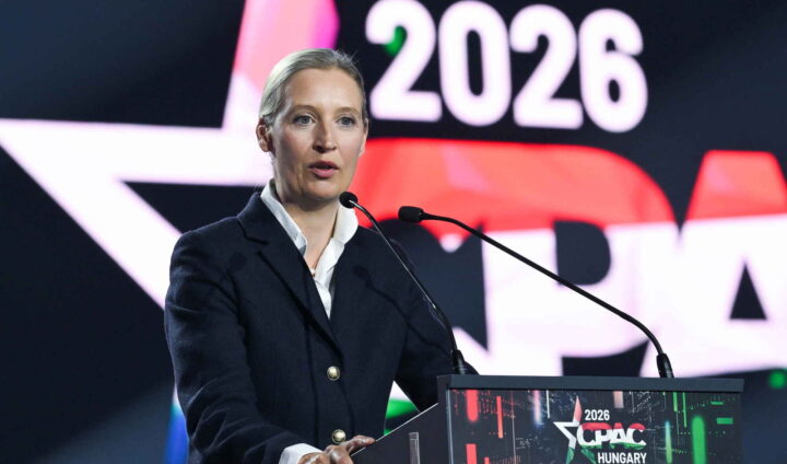 AfD befester posisjonen som størst, men det hjelper ikke