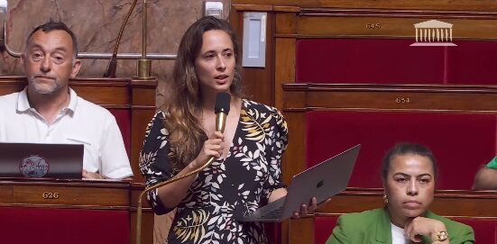 Venstreradikal fransk politiker anklages for «anti-hvit rasisme»