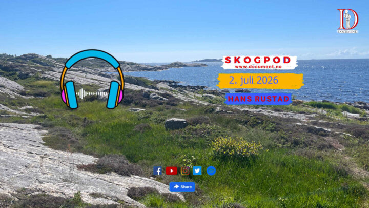 Skogpod 2. juli 2026
