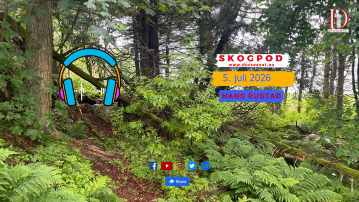 Skogpod 5. juli 2026